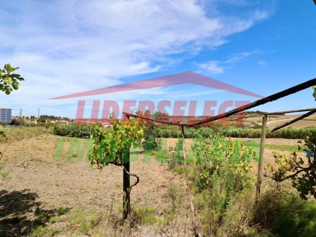 Terrenos Torres Vedras Torres Vedras DLS90670166