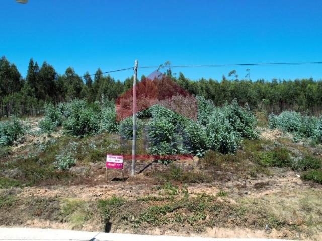 Terrenos Torres Vedras Torres Vedras DLS93947635