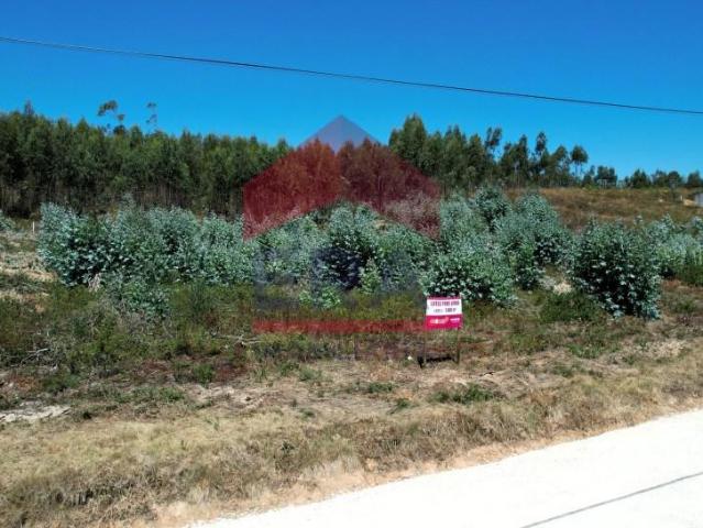 Terrenos Torres Vedras Torres Vedras DLS93057708