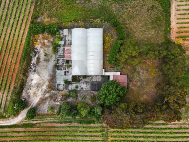 Terrenos Torres Vedras Torres Vedras DLS94889834