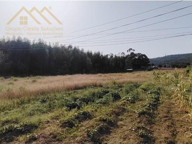 Terrenos Torres Vedras Torres Vedras DLS95263273