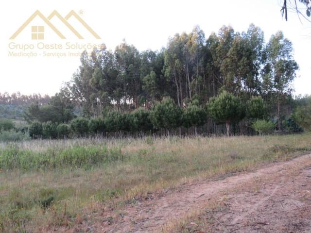 Terrenos Torres Vedras Torres Vedras DLS97055494