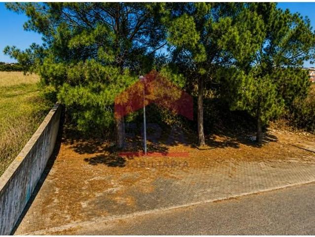 Terrenos Torres Vedras Torres Vedras DLS97240380