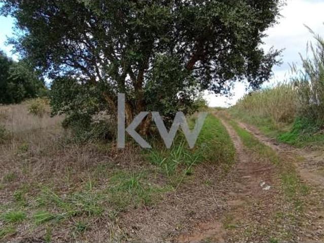 Terrenos Torres Vedras Torres Vedras DLS98334555