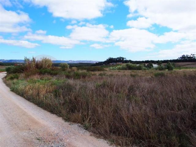 Terrenos Torres Vedras Torres Vedras DLS99181601