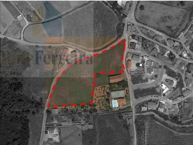 Terrenos Torres Vedras Torres Vedras DS87077064