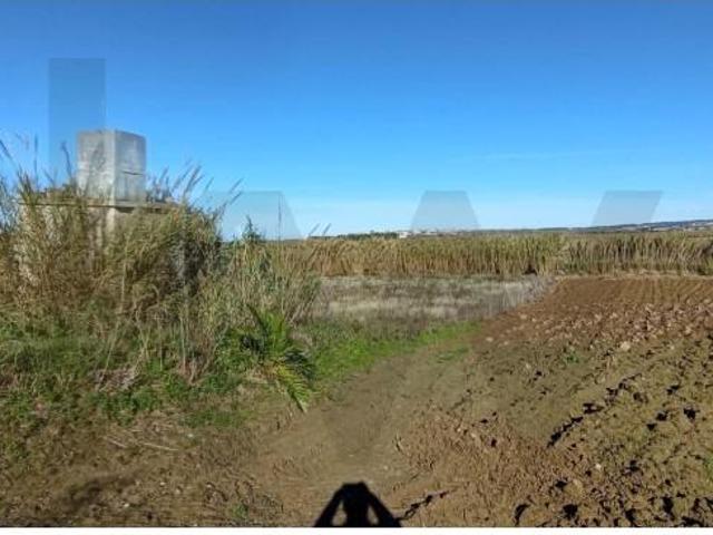 Terrenos Torres Vedras Torres Vedras DS89299688