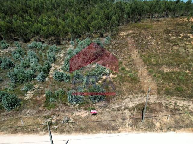 Terrenos Torres Vedras Torres Vedras DS93947633