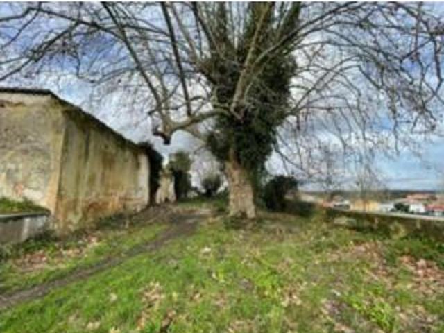 Terrenos Torres Vedras Torres Vedras DS93996729