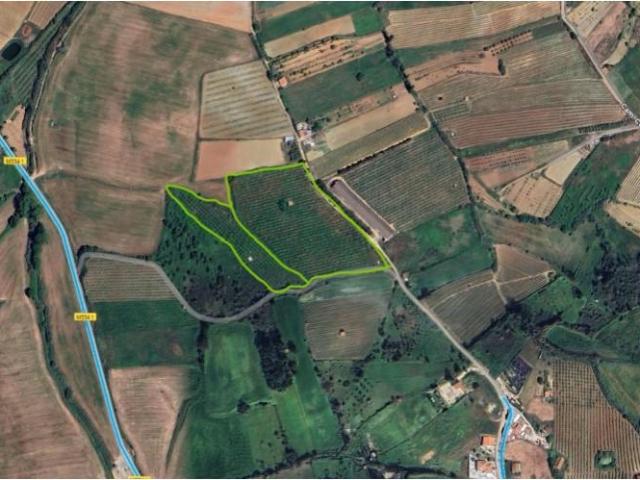 Terrenos Torres Vedras Torres Vedras DS97117672