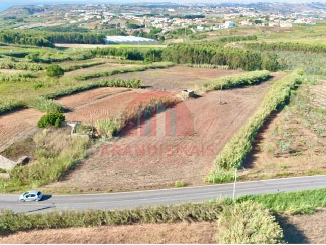 Terrenos Torres Vedras Torres Vedras DS97119971
