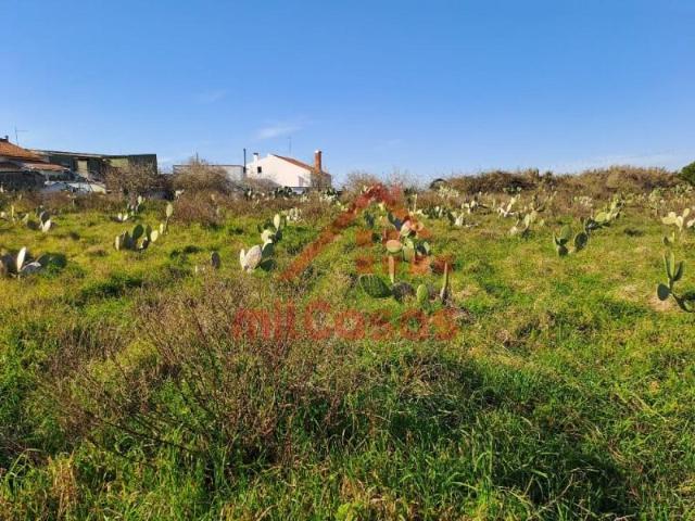 Terrenos Torres Vedras Torres Vedras DS97124089
