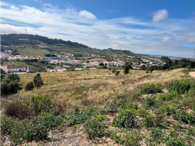 Terrenos Torres Vedras Torres Vedras DS97939480