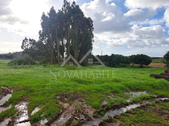Terrenos Torres Vedras Torres Vedras DS98024758