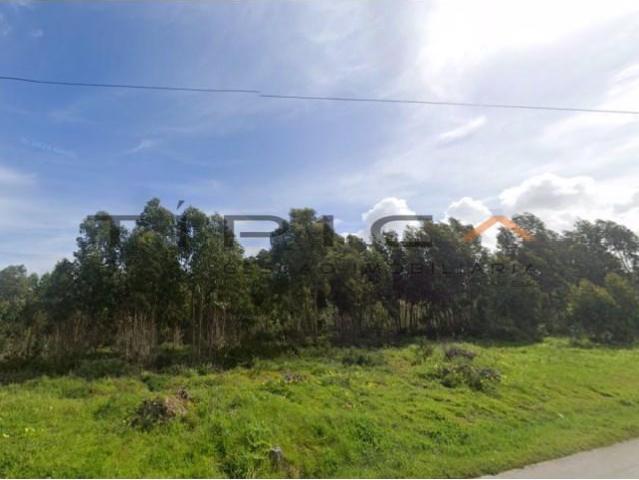 Terrenos Torres Vedras Torres Vedras DS98471104
