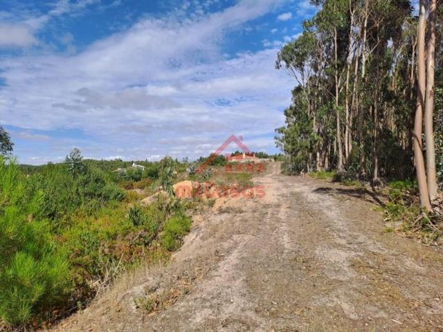 Terrenos Torres Vedras Torres Vedras DS99026618