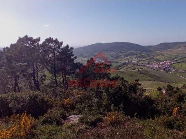 Terrenos Torres Vedras Torres Vedras DS100609296