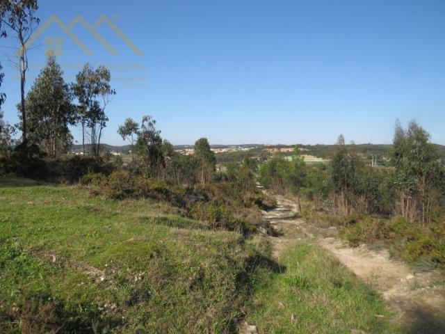 Terrenos Torres Vedras Torres Vedras DS100864209