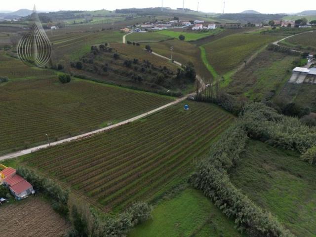 Terrenos Torres Vedras Torres Vedras DS100188099