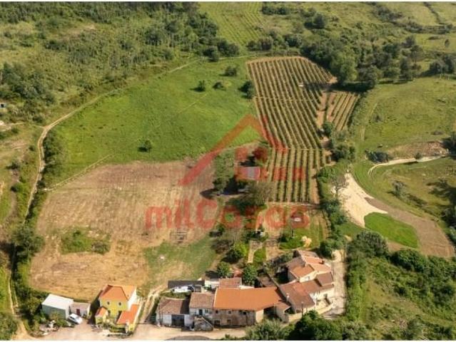 Terrenos Torres Vedras Torres Vedras DS100219293
