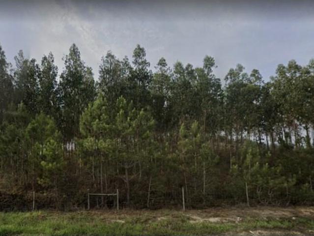 Terrenos Torres Vedras Torres Vedras DS101431065