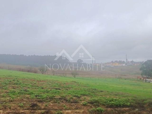Terrenos Torres Vedras Torres Vedras DS101485495
