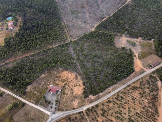 Terrenos Torres Vedras Torres Vedras DS101572320