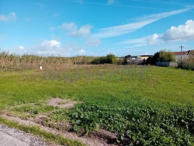 Terrenos Torres Vedras Torres Vedras DS101618452