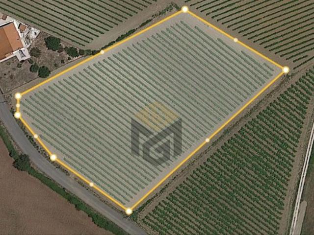 Terrenos Torres Vedras Torres Vedras DS101663862