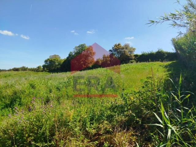 Terrenos Torres Vedras Torres Vedras DS101795559