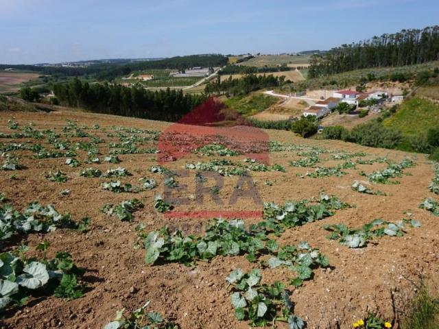 Terrenos Torres Vedras Torres Vedras DS101969361