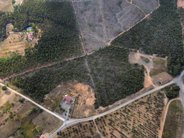 Terrenos Torres Vedras Torres Vedras DS101279589