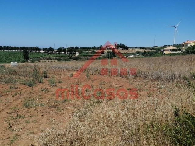 Terrenos Torres Vedras Torres Vedras DS102043725