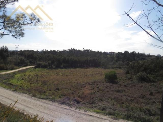 Terrenos Torres Vedras Torres Vedras DS102133842