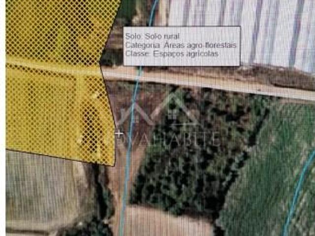Terrenos Torres Vedras Torres Vedras DS103024978
