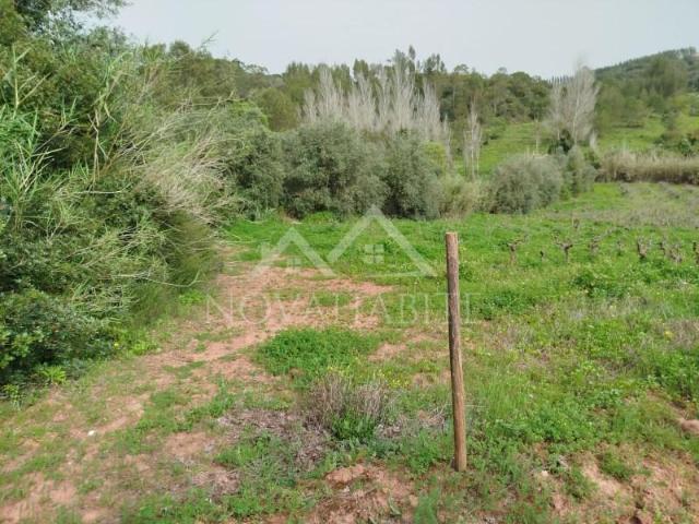 Terrenos Torres Vedras Torres Vedras DS103024982