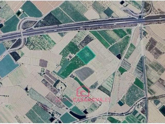 Terrenos Totana Totana LS97266922