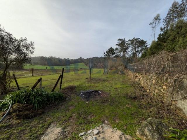 Terrenos Trofa Trofa DLS99271843