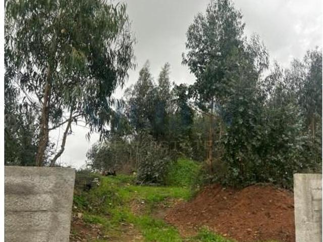 Terrenos Trofa Trofa DLS99271840