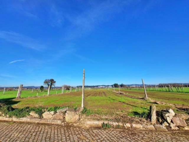 Terrenos Trofa Trofa DS101863009