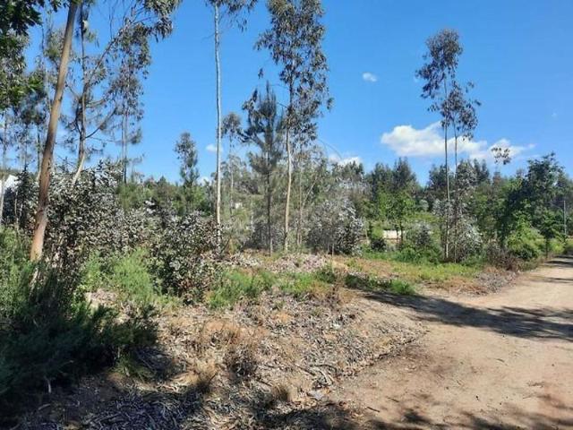 Terrenos Trofa Trofa DS99787164