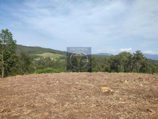 Terrenos Tui Pontevedra 71889667