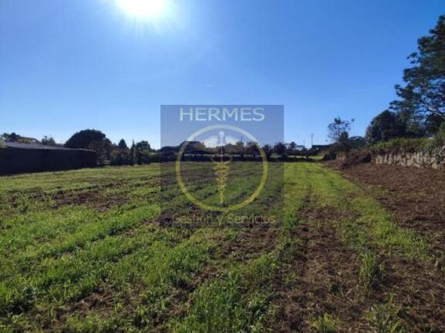 Terrenos Tui Pontevedra 84494383