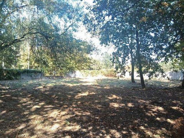 Terrenos Tui Pontevedra 102474081