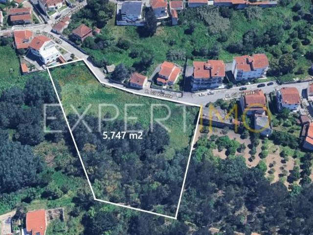 Terrenos União das freguesias de São Martinho do Bispo e Ribeira de Frades Coimbra DLS101501485