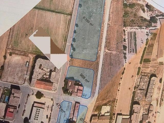 Terrenos urbano en el corazon del delta del ebro