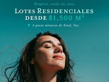 Terrenos Urbanizados Stella Sisal