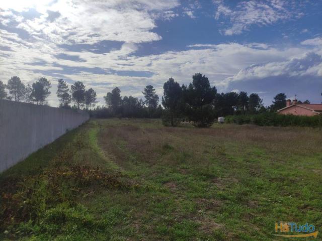 Terrenos urbanizáveis ? Marinhais | 26083618841