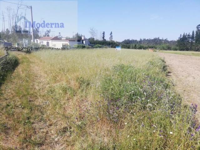Terrenos Vagos Vagos DLS96854438
