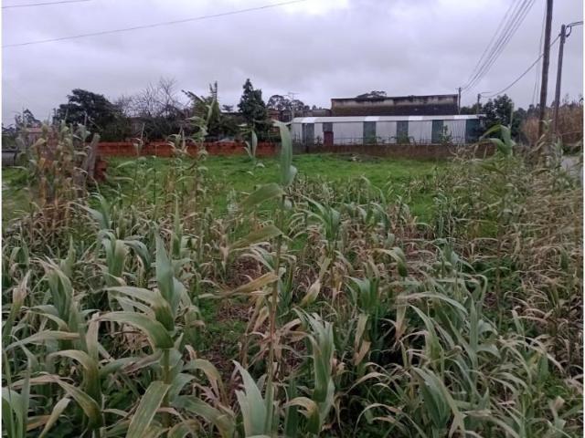 Terrenos Vagos Vagos DLS100846082